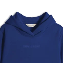 Børn Hættetrøjer Blå