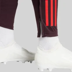 Dame FCB FC Bayern München Træningsbukser Shadow Maroon/​Rød