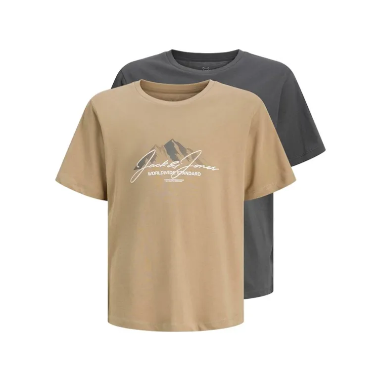 Drenge Bjerg To Pak T shirts Silver Mink/Asphalt