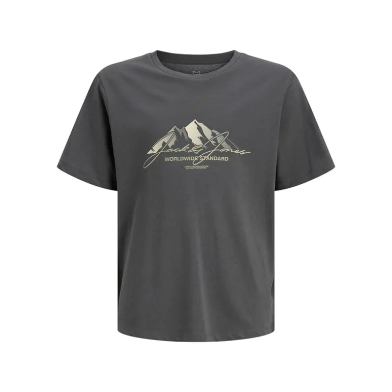 Drenge Bjerg To Pak T shirts Silver Mink/Asphalt