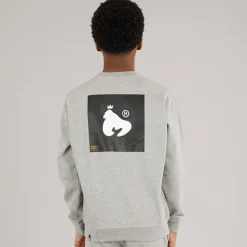 Drenge Relex Crew Sweatshirt Grå