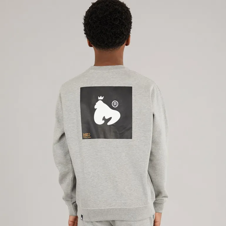 Drenge Relex Crew Sweatshirt Grå