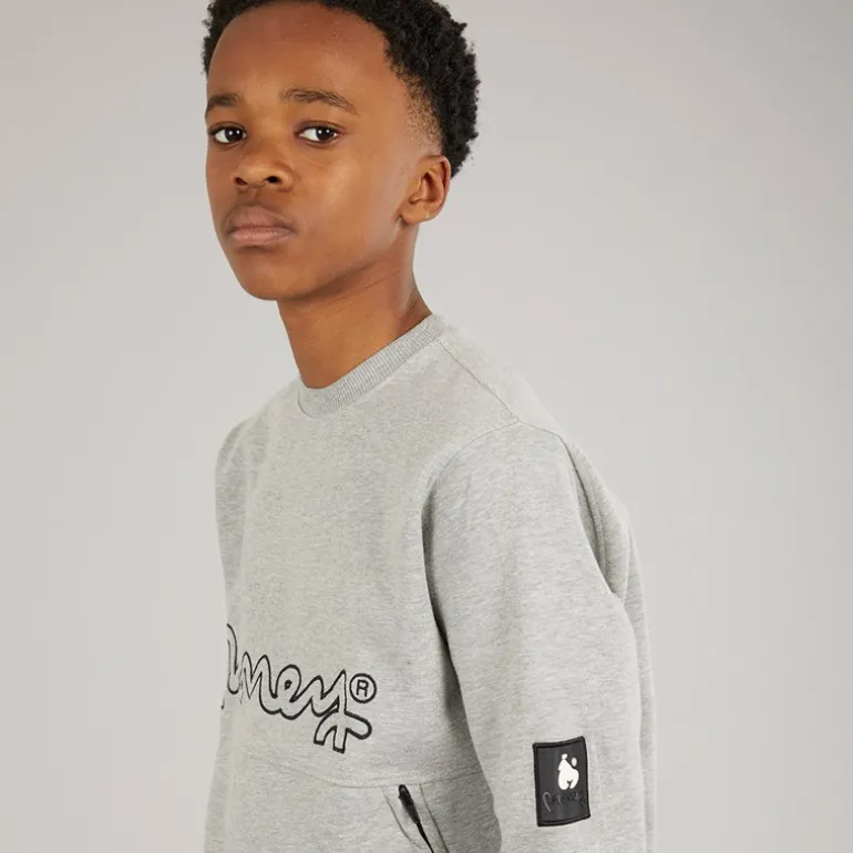 Drenge Relex Crew Sweatshirt Grå