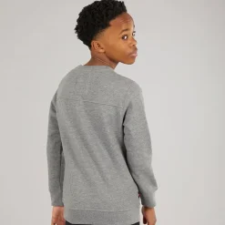 Drenge The Runner Sweatshirts Grå