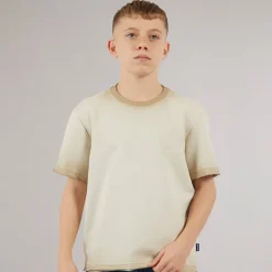 Drenge Tilmo Liv T-shirt Chinchilla