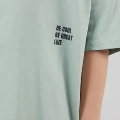 Drenge Victor T-shirt Jadeite