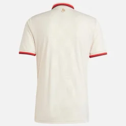 Herre FCB FC Bayern München 24/​25 Tredje Trøje Linen