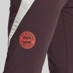 Herre FCB FC Bayern München Træningsbukser Shadow Maroon/​Rød