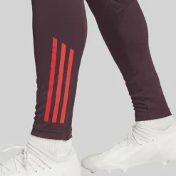 Herre FCB FC Bayern München Træningsbukser Shadow Maroon/​Rød