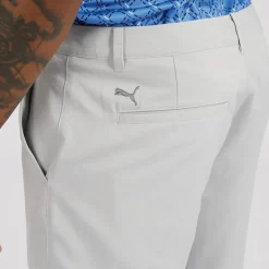 Herre Golf Tech 2.0 Sport træningsshorts Grå