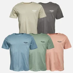 Herre Jeff Orion T-shirts 5-pak Moonbeam/​Castlerock/​Mountain Spring/​Coral Almond/​Iceberg Green