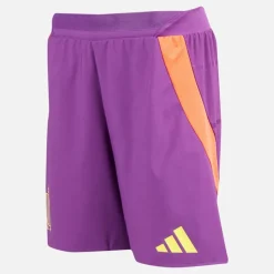 Herre RBFA Belgien 24/​25 Autentiske udebane shorts Glory Purple