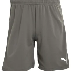 Herre teamRISE Sport træningsshorts Grå