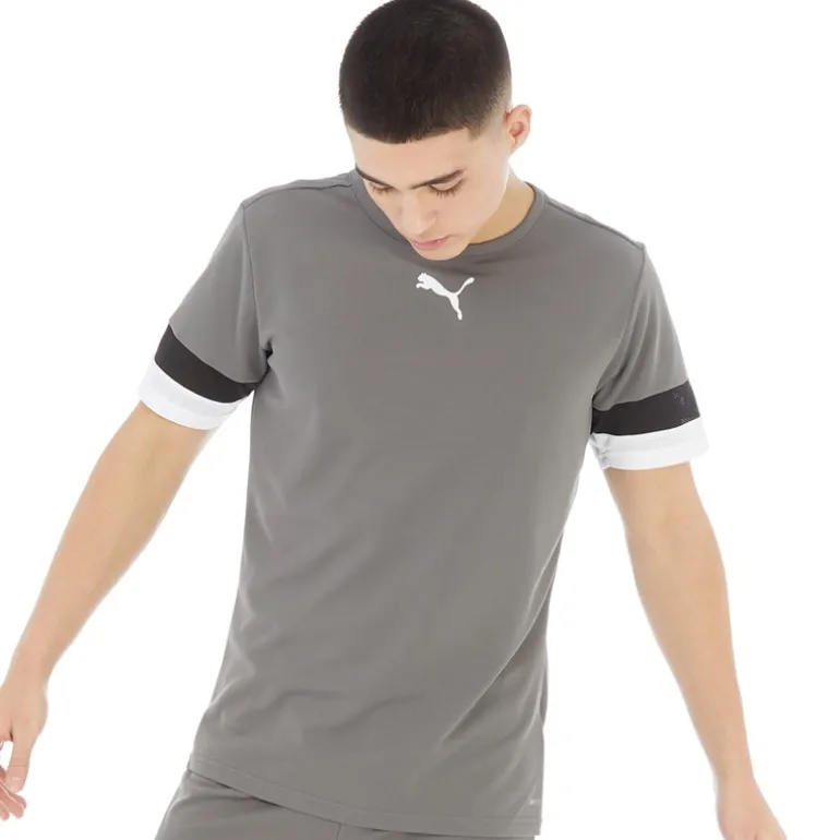 Herre teamRISE Sport træningstrøjer Grå