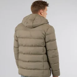 Herre Vance Frakke Valnød